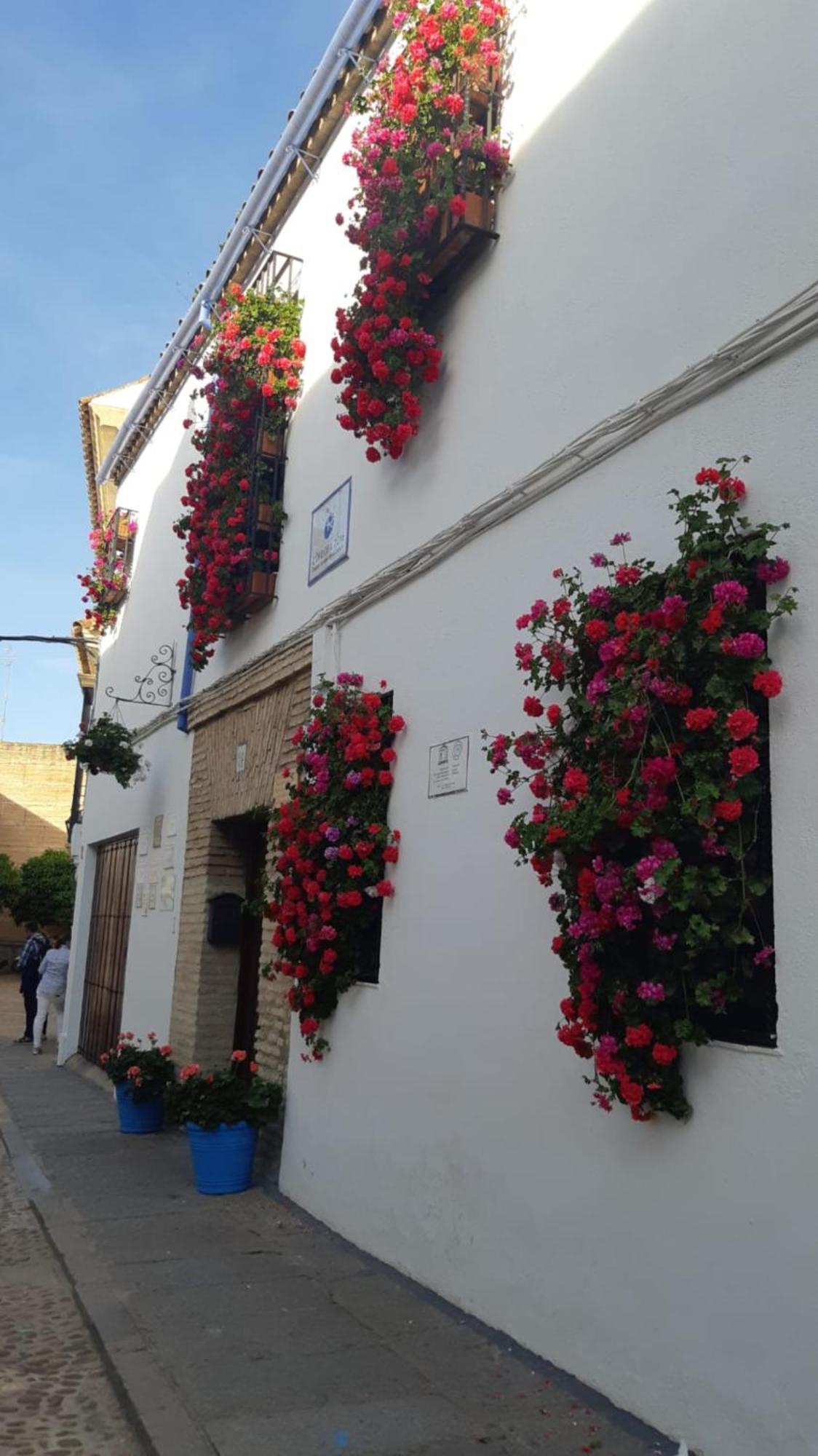 Ferienwohnung El Rincon De Jesus Y Loli Córdoba Exterior foto